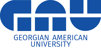 Georgian American University Flag