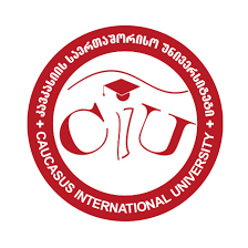 Caucasus International University